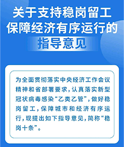 关于支持稳岗留工保障经济有序运行的指导意见